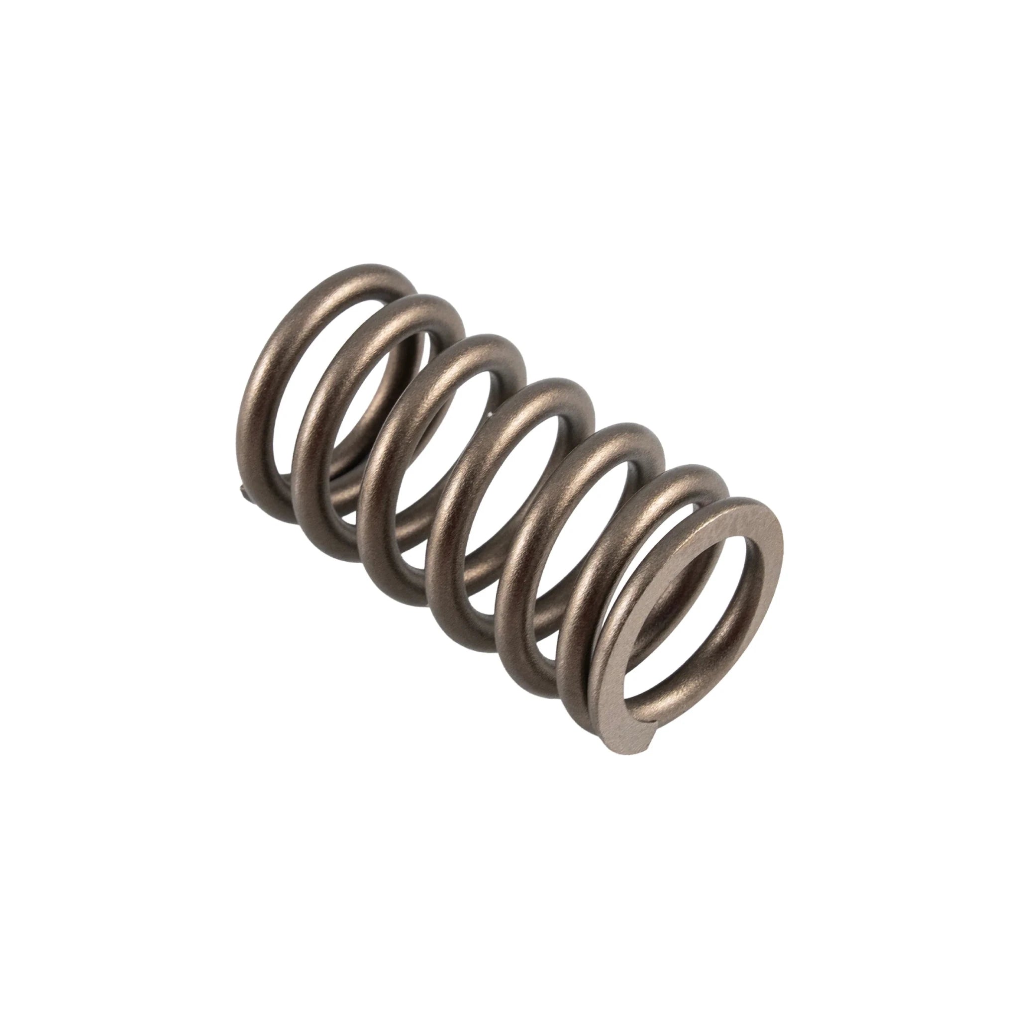 PPE 110090053 Straight Valve Spring Kit (2001 - 2016 Duramax) - Southern Diesel Supply