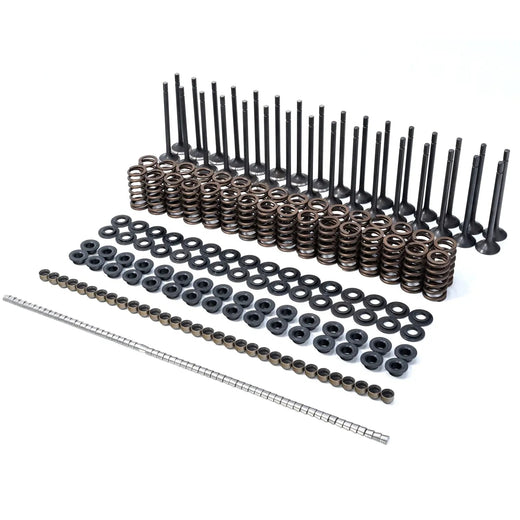 PPE 110090080 Valve & Valve Spring Kit (2001-2016 Duramax)