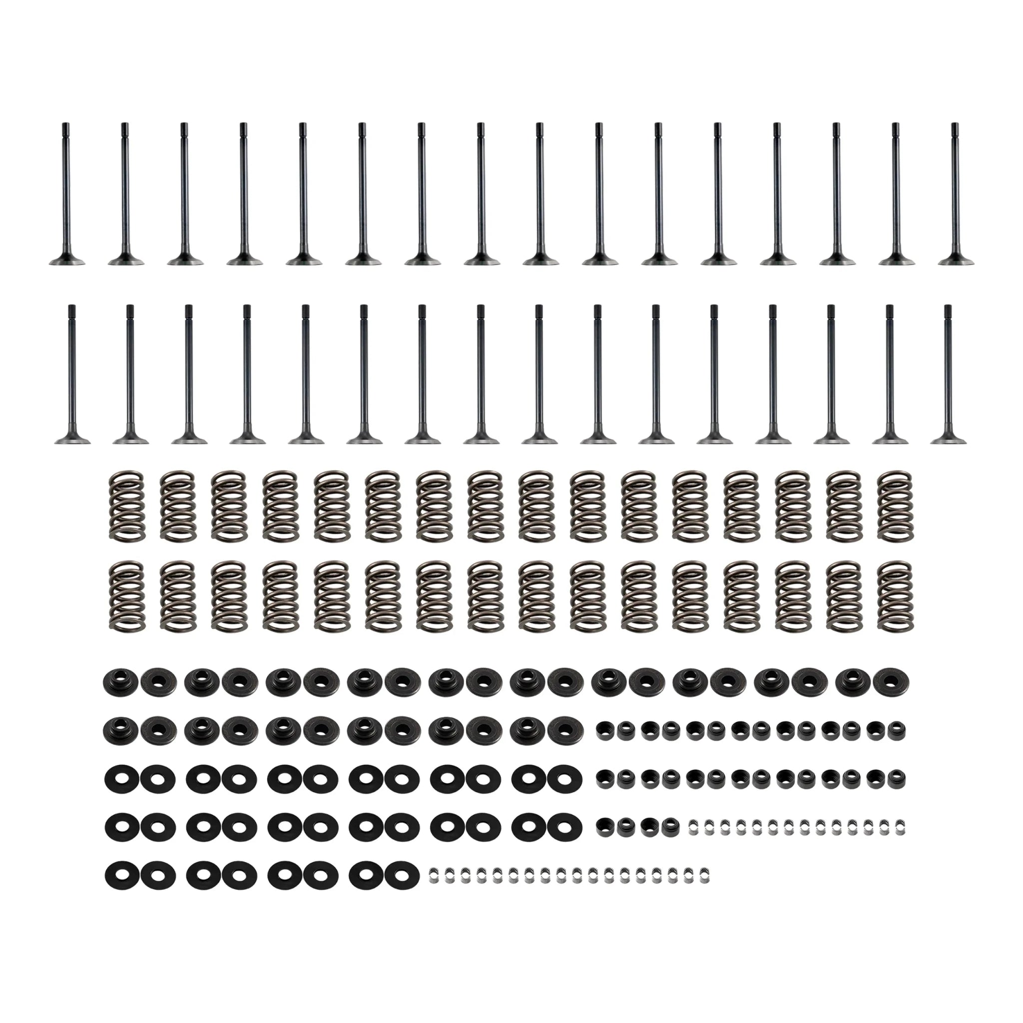 PPE 110090083 Valve & Straight Valve Spring Kit (2001 - 2016 Duramax) - Southern Diesel Supply