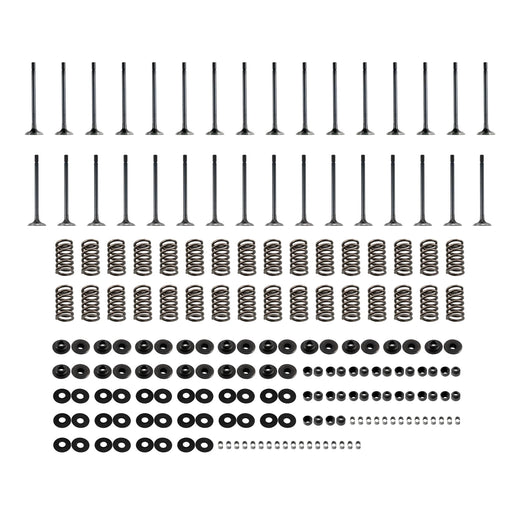 PPE 110090083 Valve & Straight Valve Spring Kit (2001-2016 Duramax)